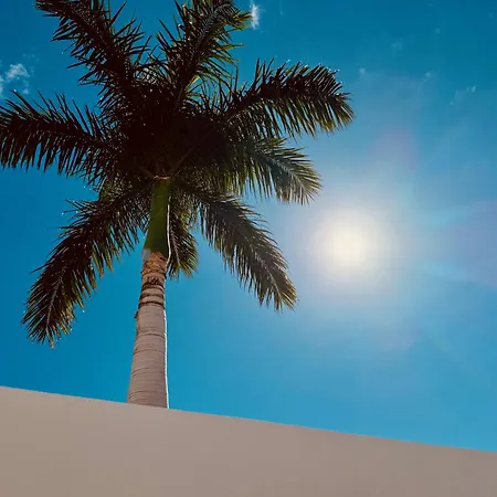 Click&guest - Sunny Oasis Terrace * Maspalomas (Gran Canaria)