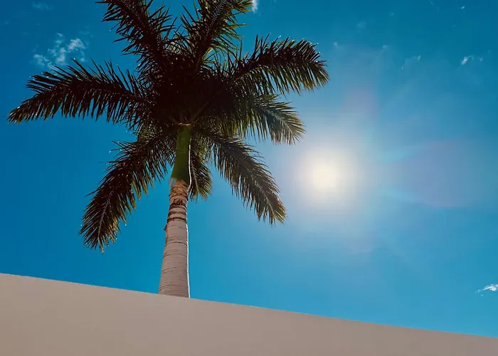 Click&guest - Sunny Oasis Terrace * Maspalomas (Gran Canaria)